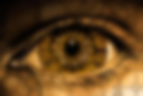 Квест Путешествие во времени