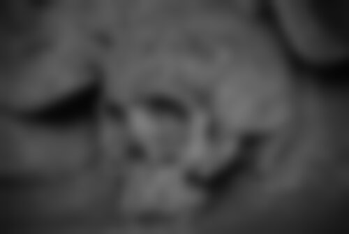 Перформанс Склеп на ekb.kvestinfo.ru Перформанс Склеп