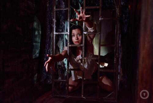 Перформанс Псарня