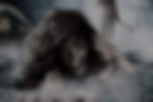 Перформанс Дом Изверга