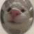 ImWiFn31